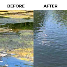 Load image into Gallery viewer, Nature's Pond Conditioner