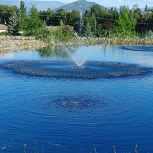 Load image into Gallery viewer, Fountain System 6100